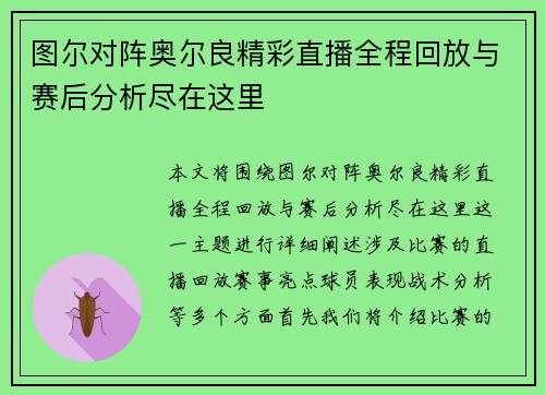 图尔对阵奥尔良精彩直播全程回放与赛后分析尽在这里